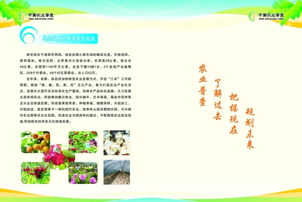 畫冊設(shè)計