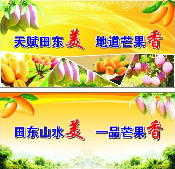 芒果宣傳畫圖片