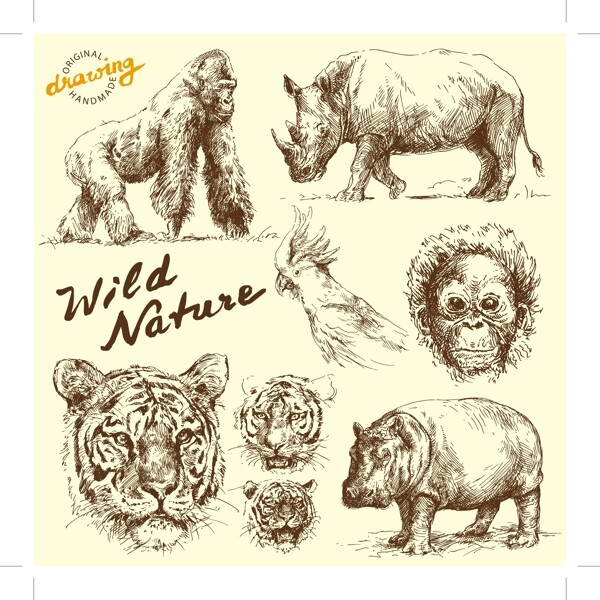 8款手绘野生动物设计矢量素材