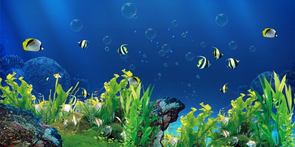 魚缸背景海底世界小魚海藻
