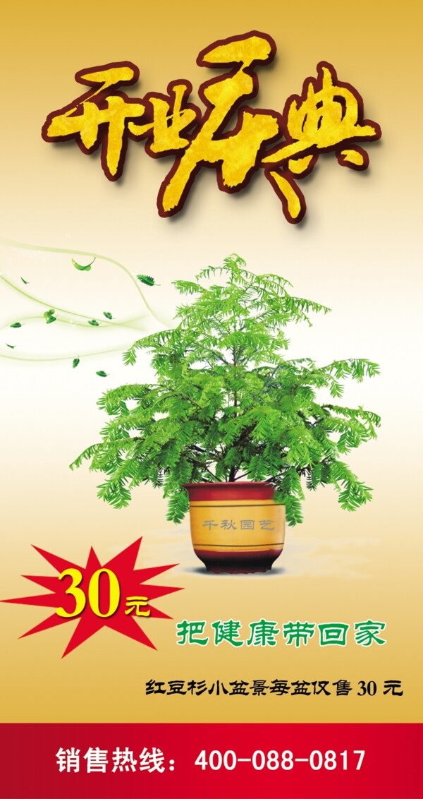 紅豆杉海報圖片