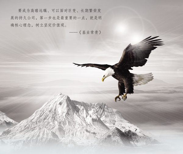 雄鷹企業(yè)文化素材圖片