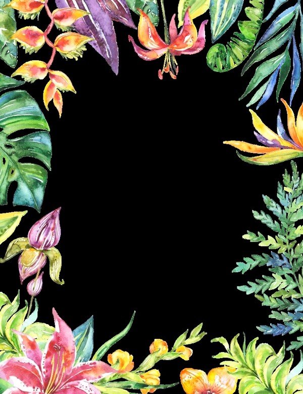 手绘植物边框