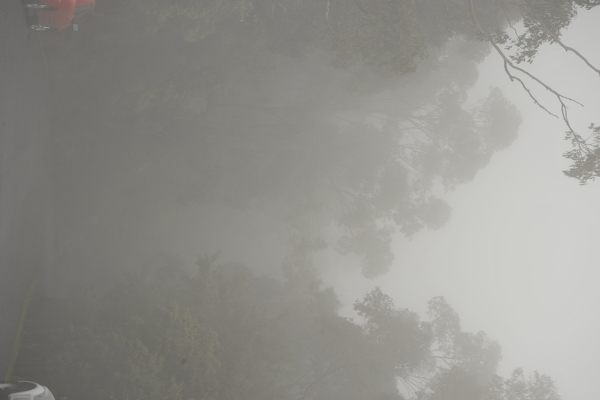 威灵顿山雾景图片