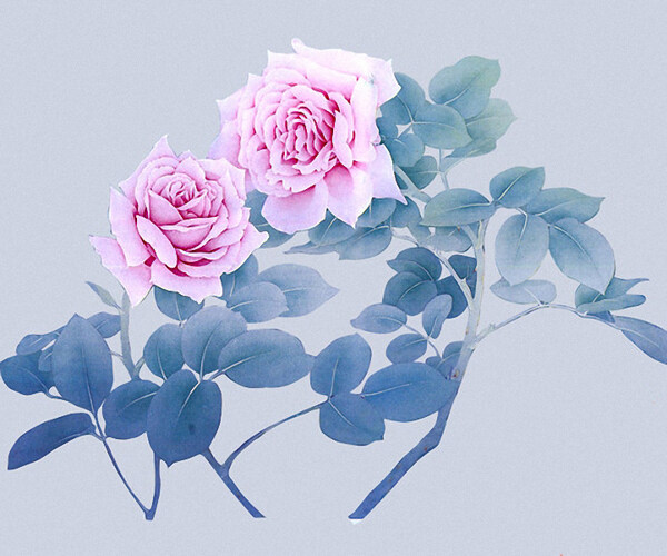 位圖時尚休閑女裝成熟優(yōu)雅女裝植物花卉免費(fèi)素材