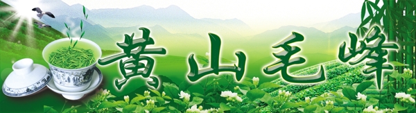 黃山毛峰圖片
