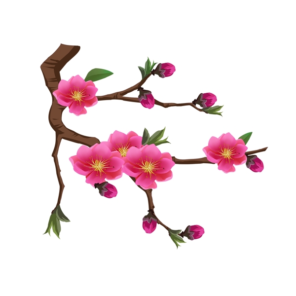 粉色桃花花朵花枝花卉手绘春季装饰简约风