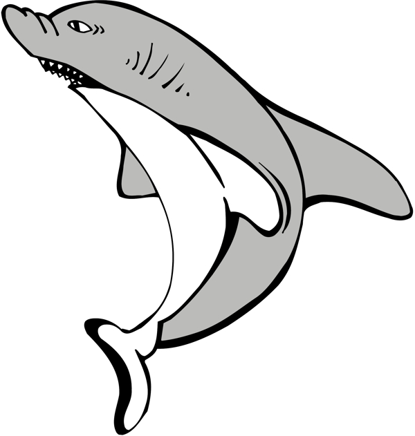 鯊魚17