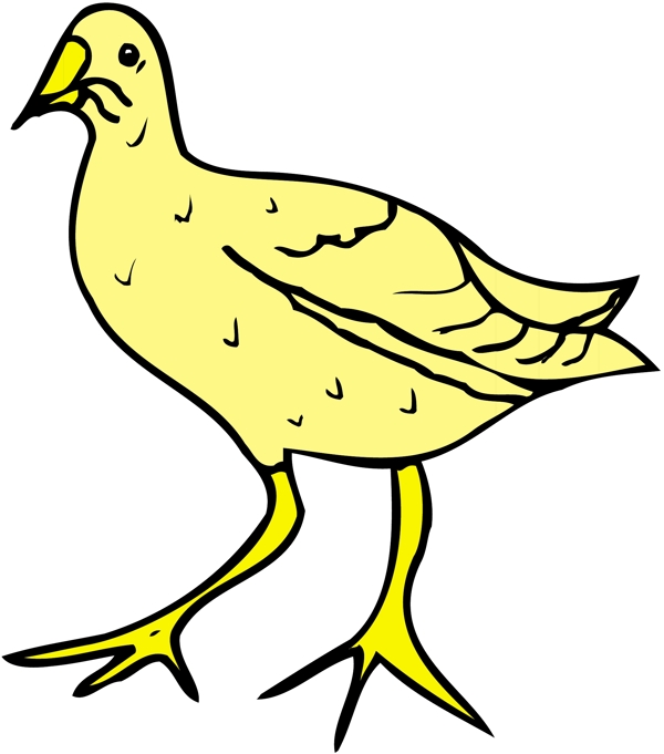 各種鳥類鳥動物矢量素材EPS格式0051