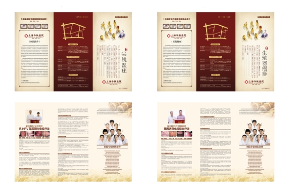 性病三折頁(yè)