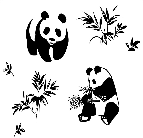 熊貓圖片