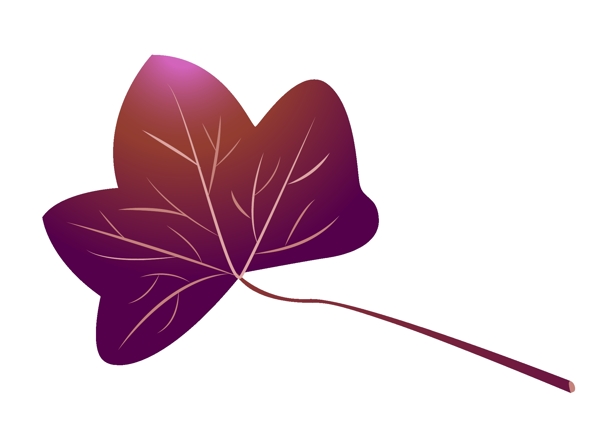 紫色的树叶枫叶插画