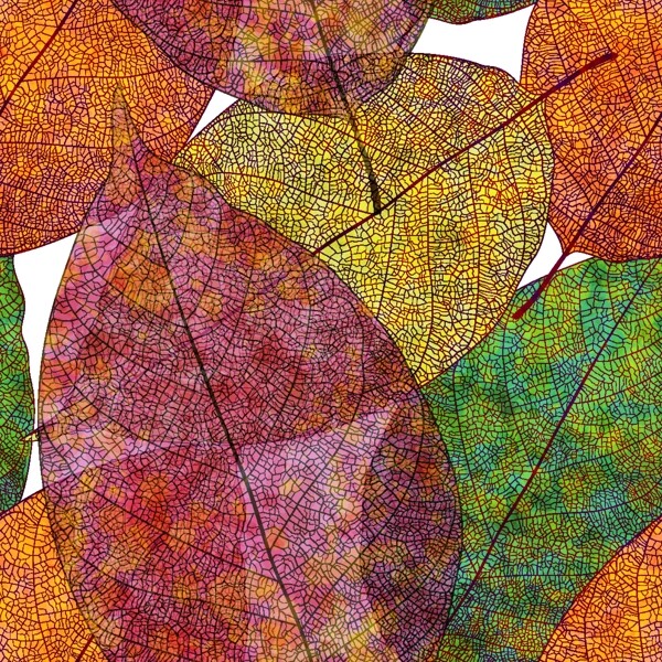 彩色秋叶背景矢量素材图片