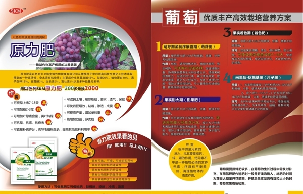 遠(yuǎn)力肥