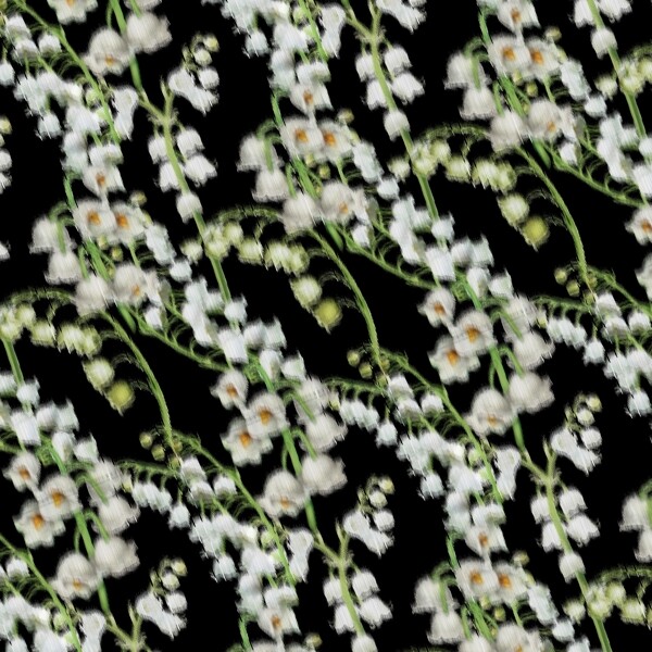 花兒