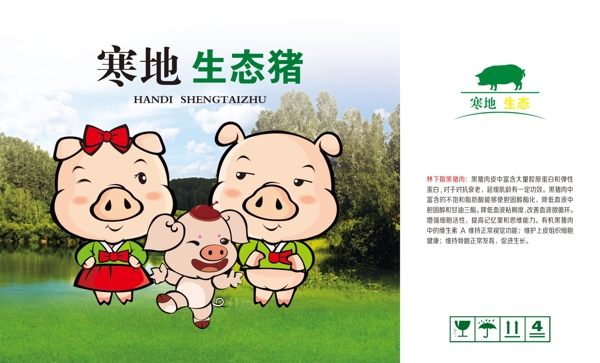 豬肉包裝