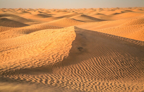 撒哈拉沙漠旅游