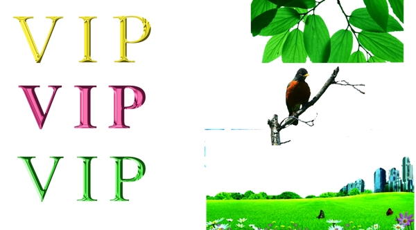 VIP字體