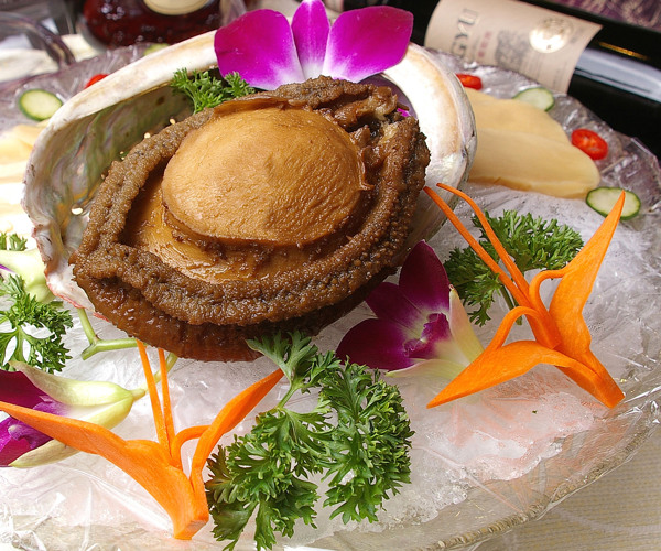 冰鎮(zhèn)鮮澳鮑圖片