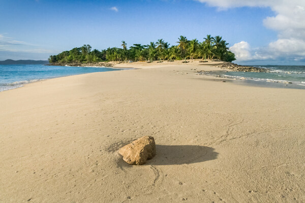 蓝天沙滩椰子树图片