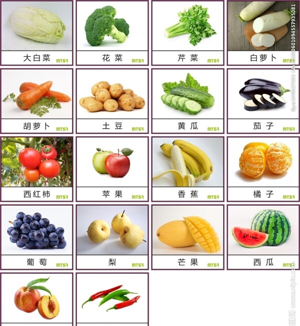 早教中心蔬菜水果卡片