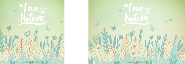带植被和蝴蝶的手绘背景