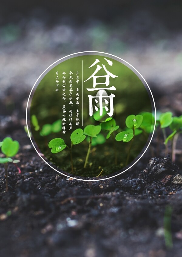 谷雨二十四節(jié)氣