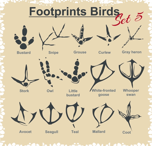 各种动物脚印图案矢量素材下载