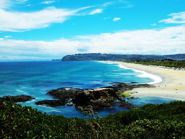 新西兰南岛海景StKilda图片