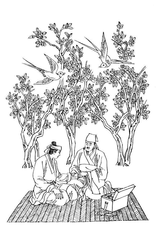 杏林春燕圖片