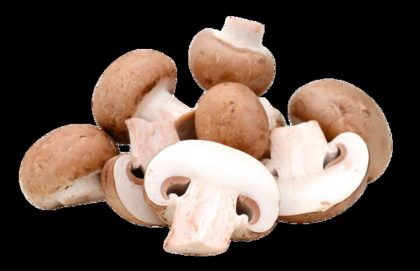 香菇香菇海报花菇