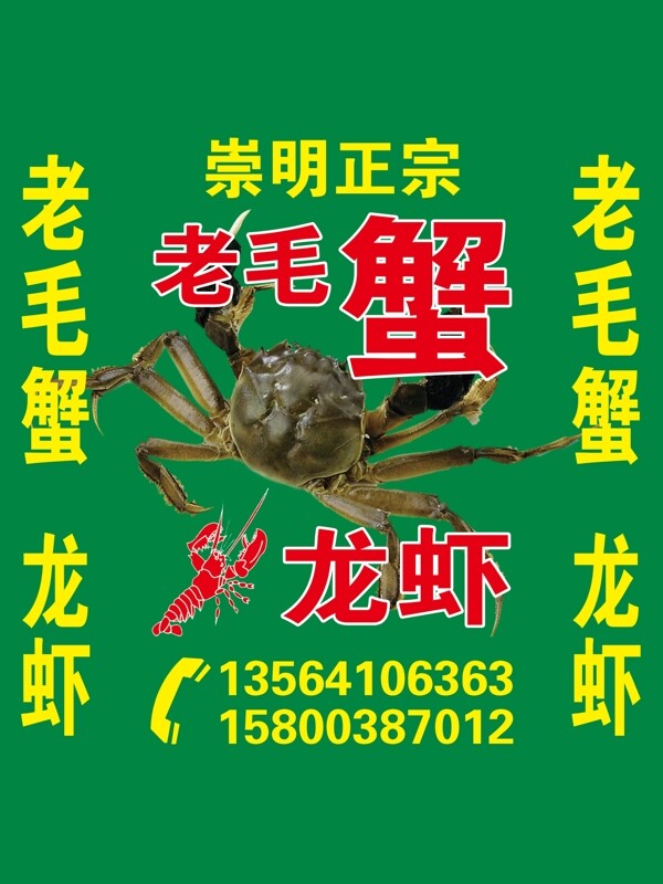 崇明老毛蟹圖片