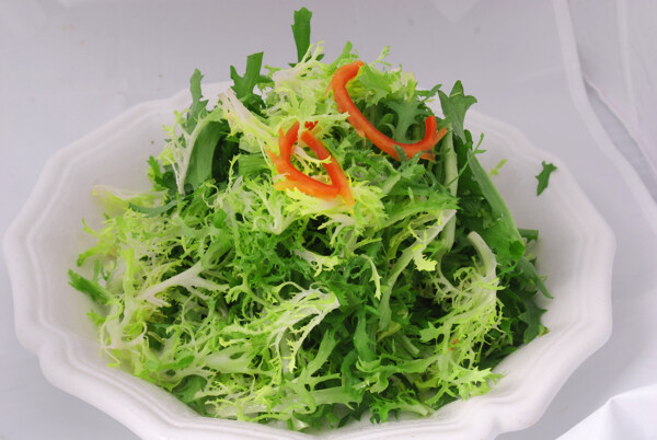 養(yǎng)生菜圖片