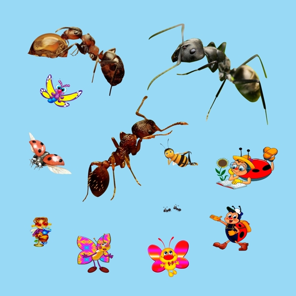 蚂蚁卡通动物