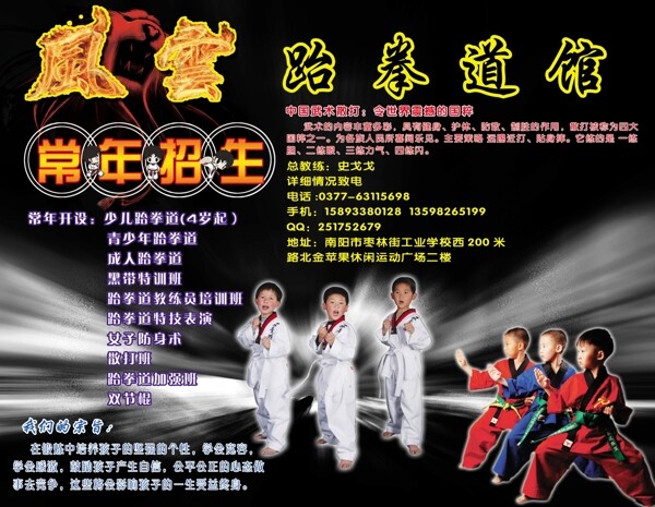 風(fēng)云跆拳道海報圖片