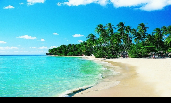 夏日海灘椰樹圖片