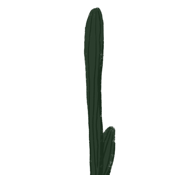 长长的植物免抠图