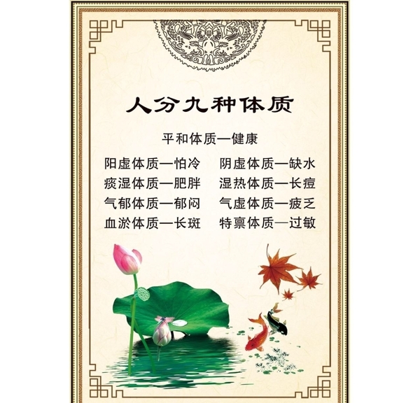 體質(zhì)分類