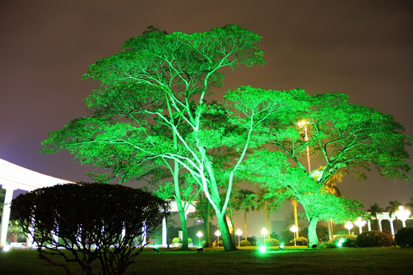 公園夜景圖片