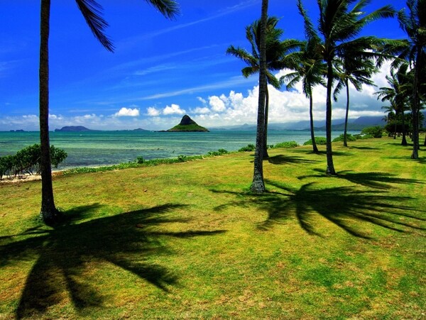 海邊風(fēng)景圖片