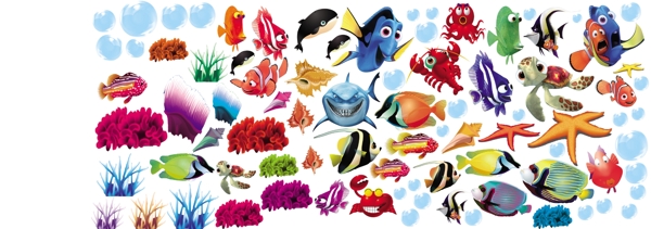 水族魚
