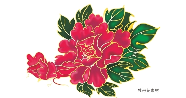 牡丹花素材