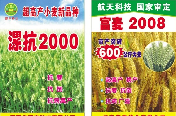 小麦宣传单海报图片