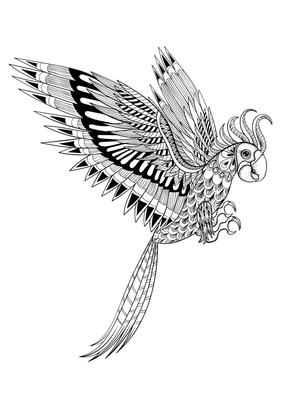 黑白艺术鹦鹉插画
