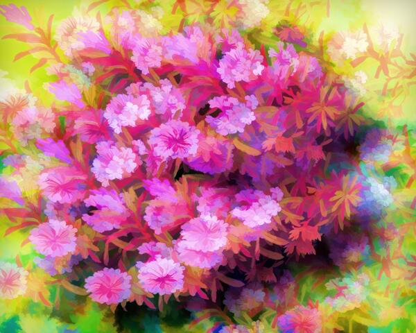 花朵油畫圖片