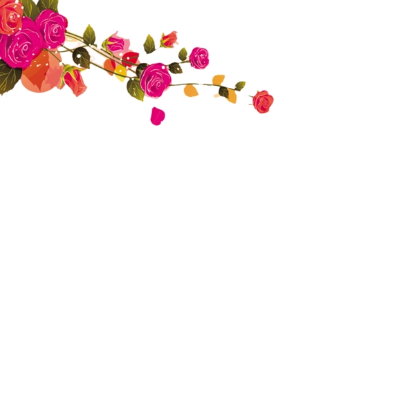 玫瑰花