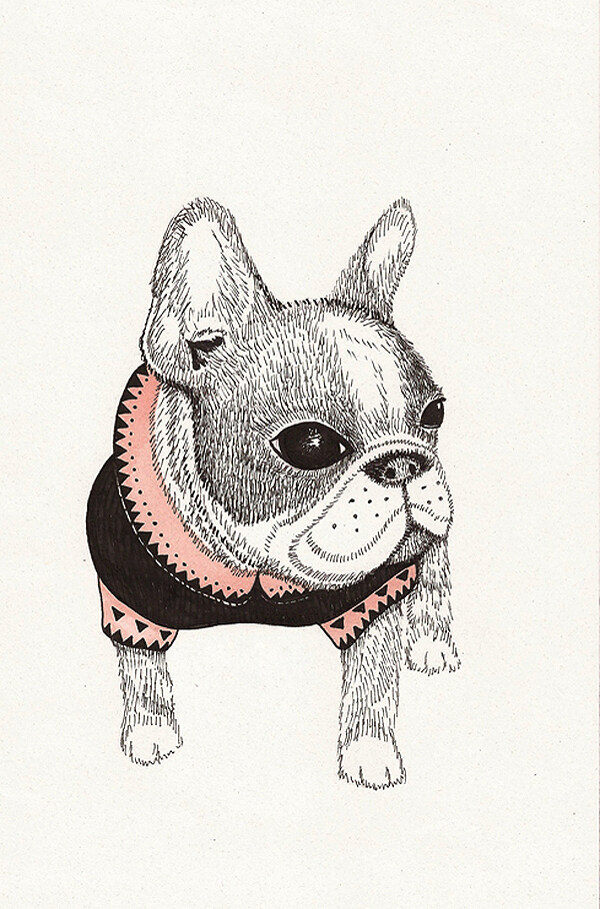位圖插畫時尚插畫動物插畫藝術效果免費素材