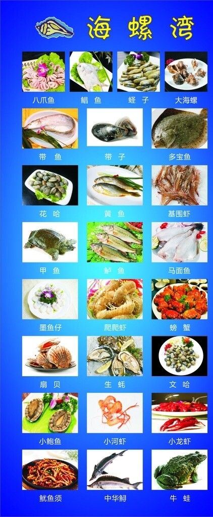 海螺灣圖片