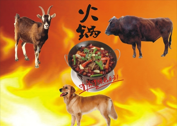 牛羊狗火鍋圖片