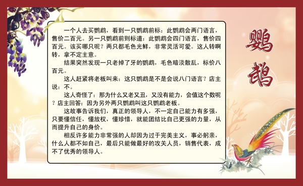 勵志故事鸚鵡圖片
